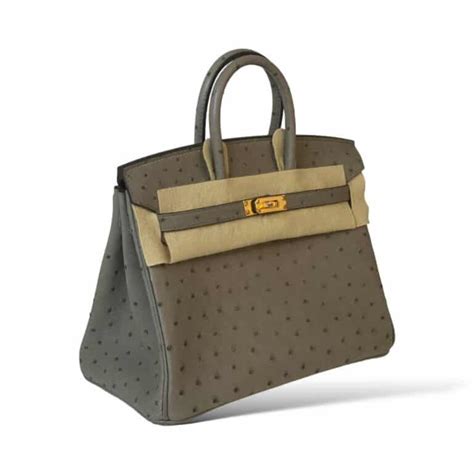 hermes birkin 25 gris tourterelle|HERMES Ostrich Birkin 25 Gris Tourterelle .